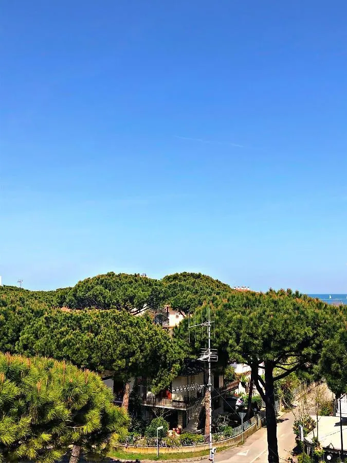 Hotel Del Falco Cervia 3*,